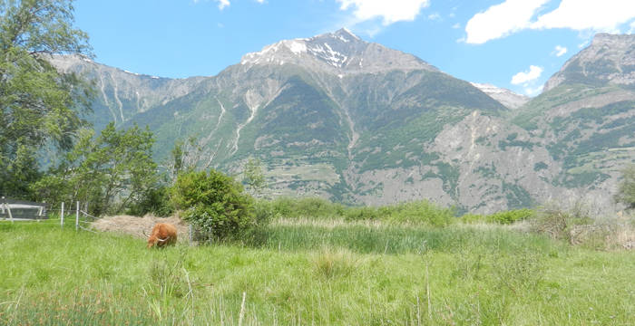 Réserve naturelle Saxon Valais