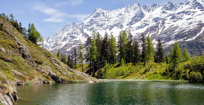 lebensraum_alpen_4_1920x960_cr_pronatura