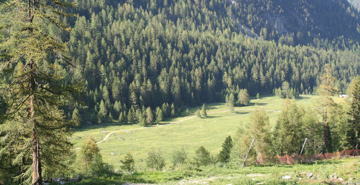 Val d'Arpette Valais