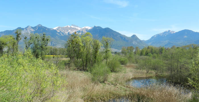 Rigoles Vionnaz Chablais valaisan