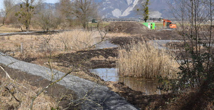 création mares Vionnaz © Marjorie Berthouzoz