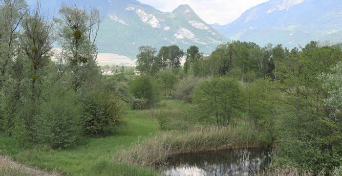 Vue centrale des Rigoles de Vionnaz