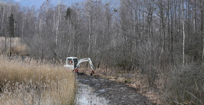 Mit Spundwänden wird das Wasser wieder gestaut.