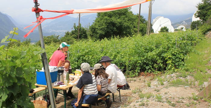 Pause conviviale dans les vignes © Amina Clénin