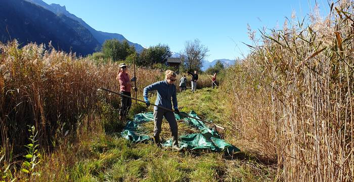 Bénévole Valais © Marjorie Berthouzoz