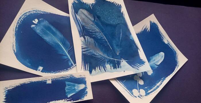 Cyanotypes
