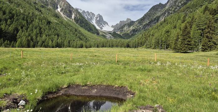 20260617_Val d'Arpete_cr_Aline Fournier