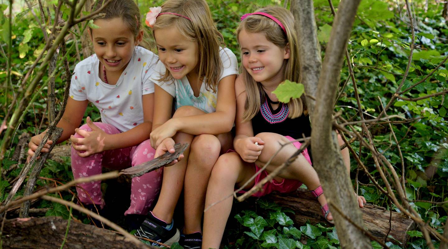 Jeunes et Nature Valais romand Pro Natura