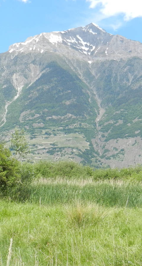 Réserve naturelle Saxon Valais