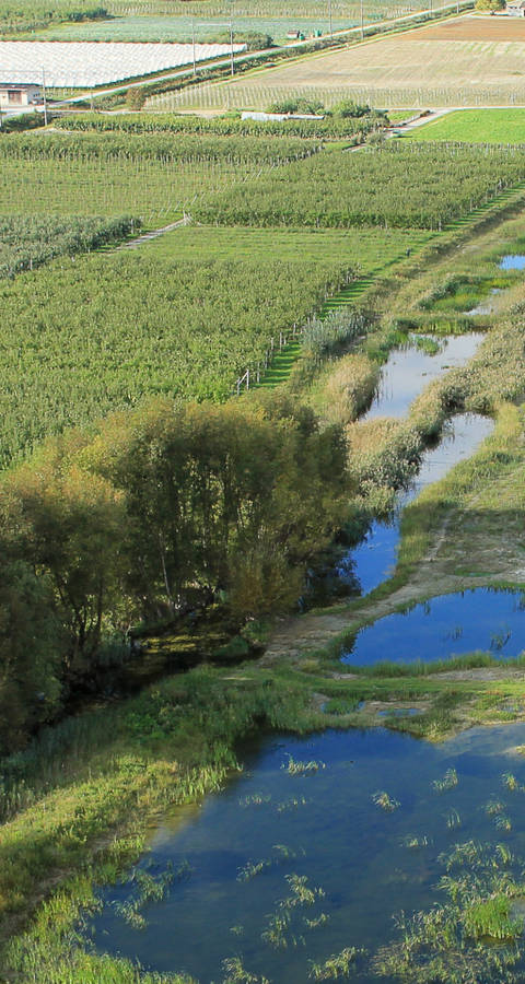 Vue aérienne Marais Ardon et Chamoson