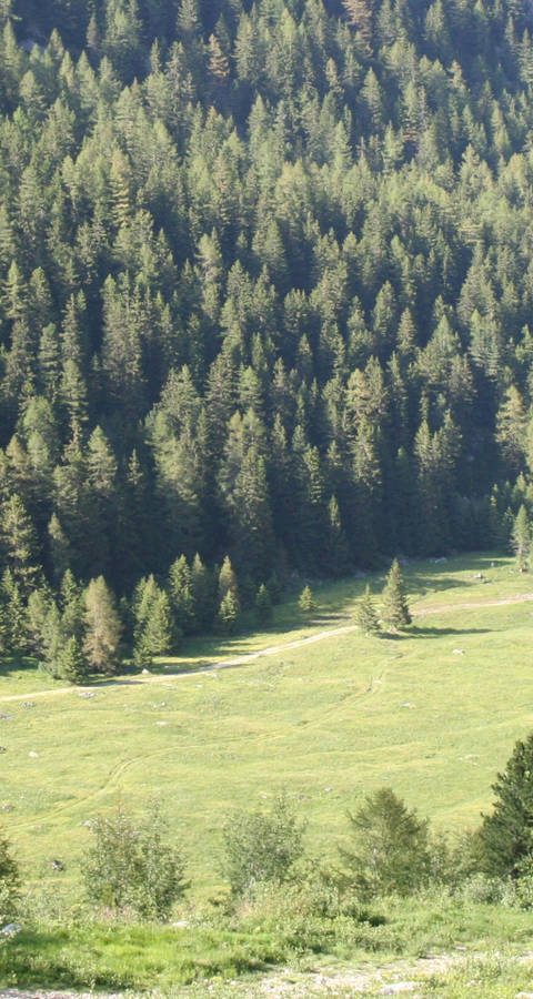 Val d'Arpette Valais