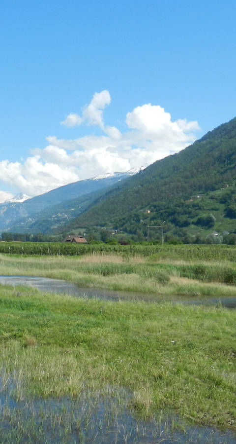 Biotope Ardon chamoson