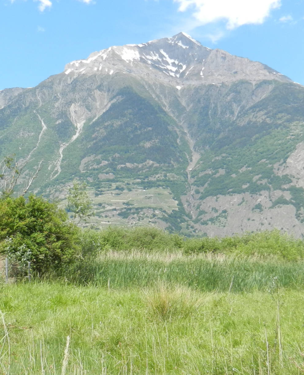 Réserve naturelle Saxon Valais