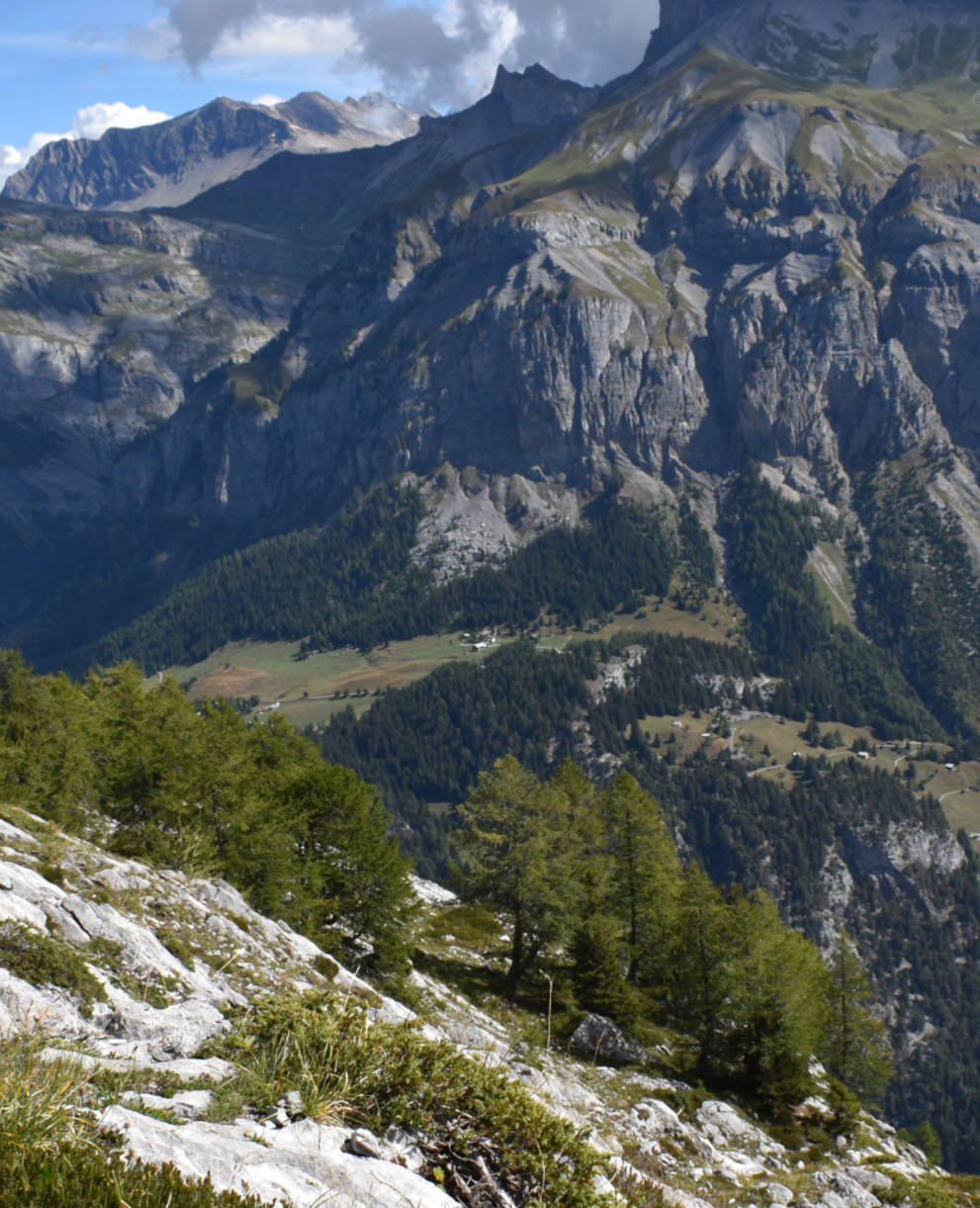 Derborence Valais © Marjorie Berthouzoz