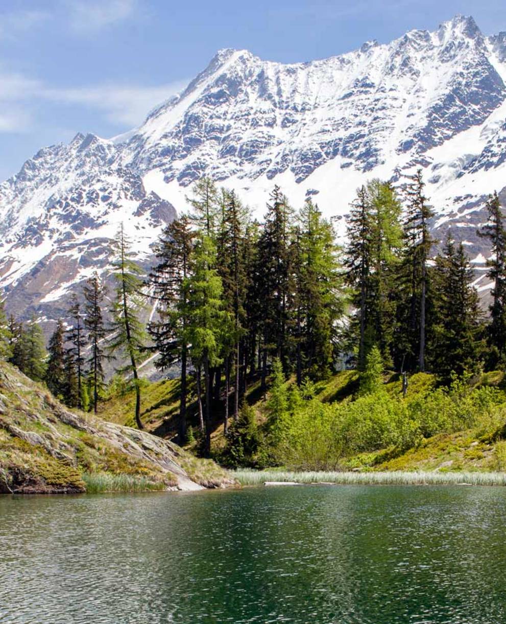 Schwarzsee Lötschental © Pro Natura