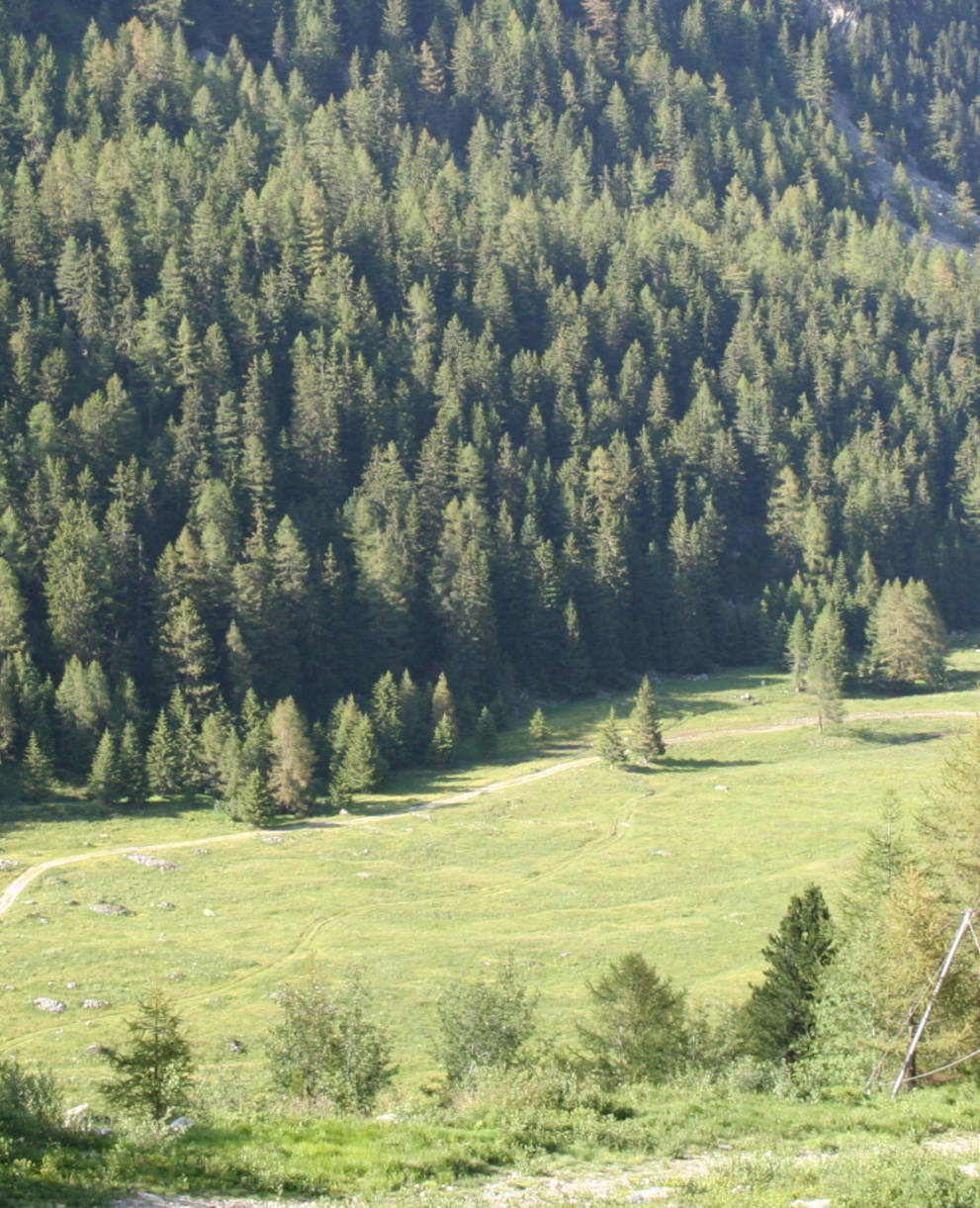 Val d'Arpette Valais