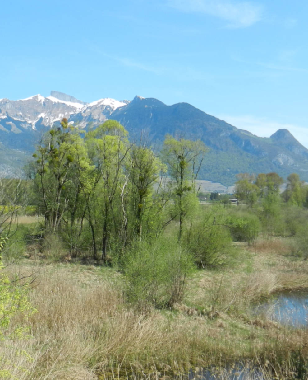 Rigoles Vionnaz Chablais valaisan