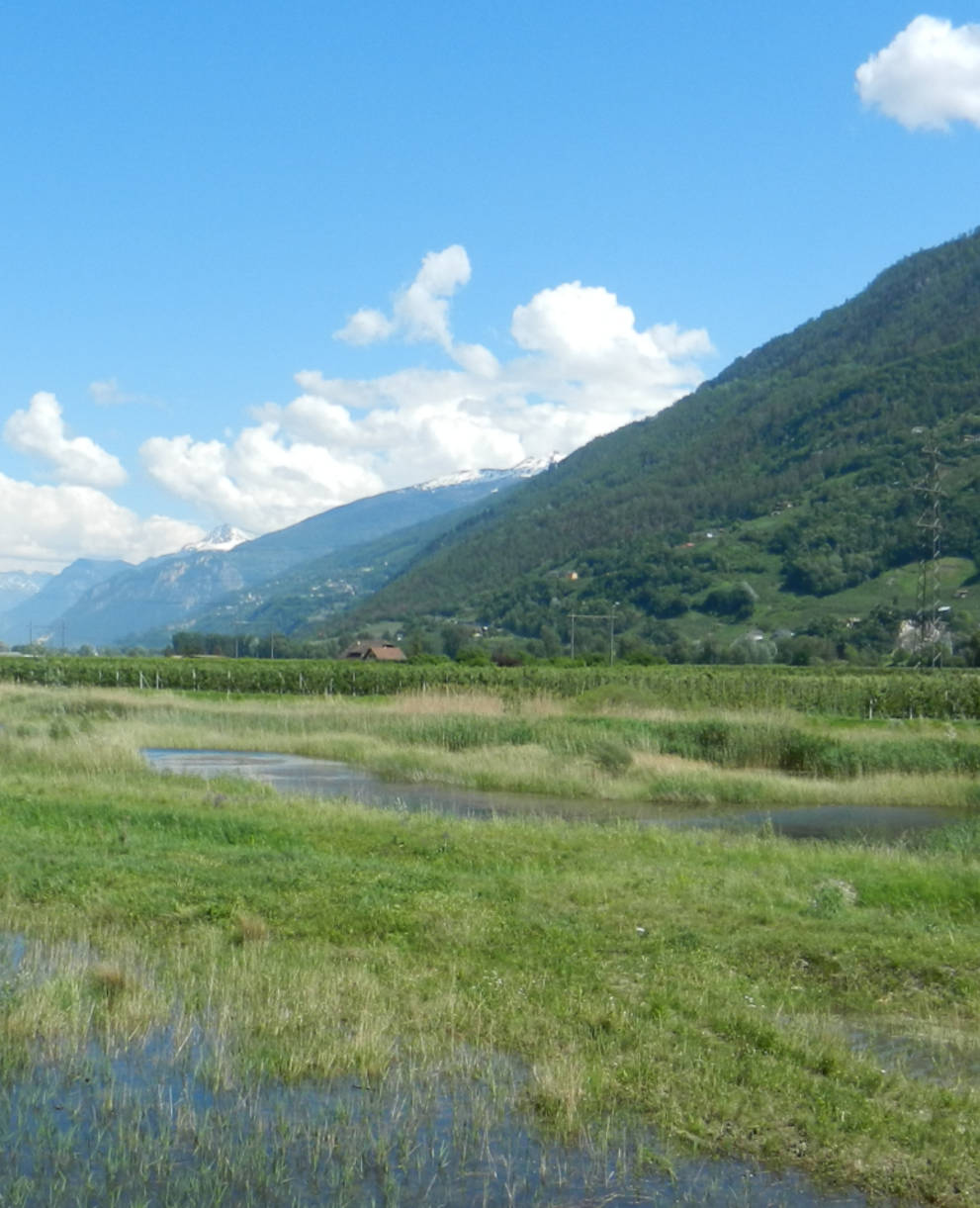 Biotope Ardon chamoson