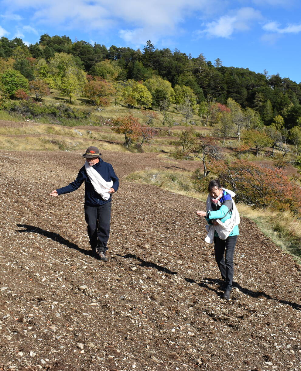 Roggenfeld Erschmatt_cr_Erlebniswelt Roggen Erschmatt