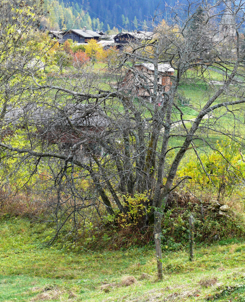 cr_Landschaftspark Binntal