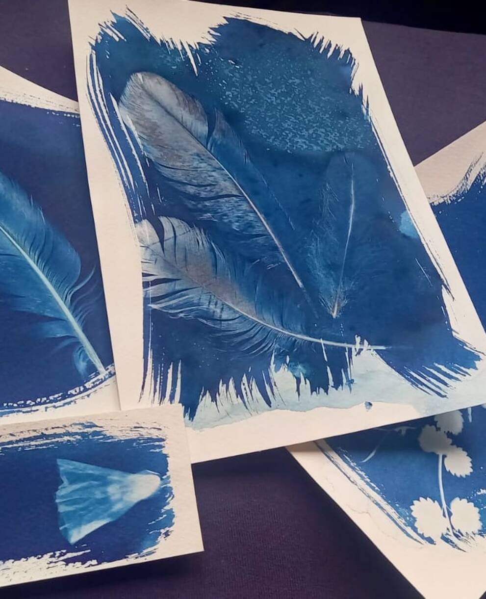 Cyanotypes